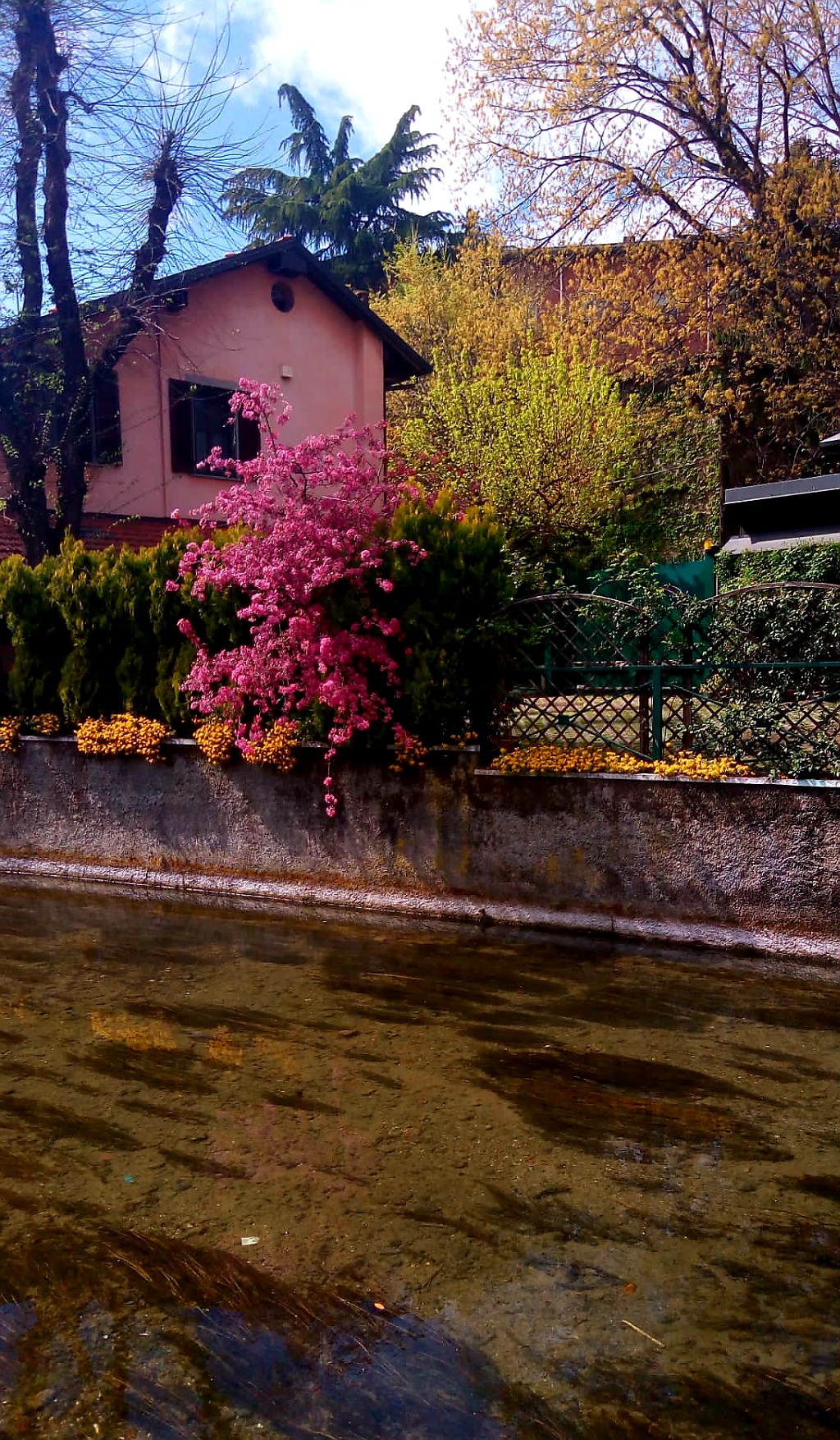 8 Aprile 2022_V.Tofane